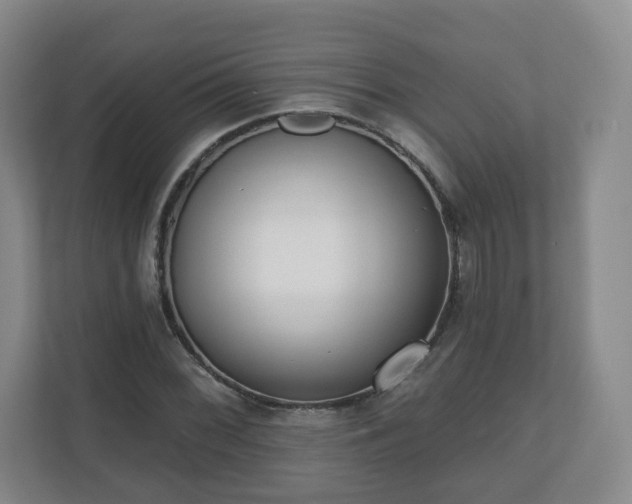 X0000110981068200906261424