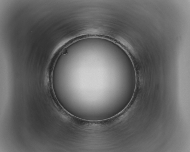 X0000110981070200906261424