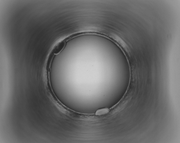 X0000110981072200906261424