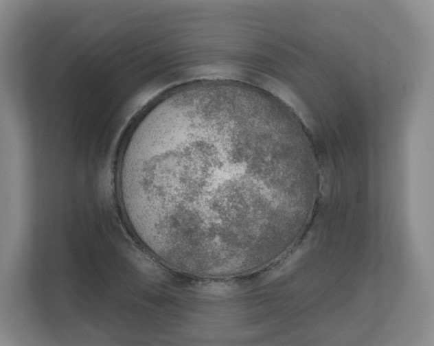 X0000110981074200906261424