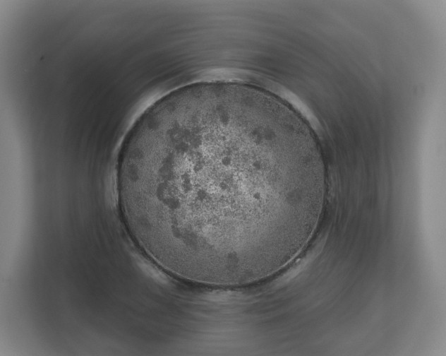 X0000110981075200906261424