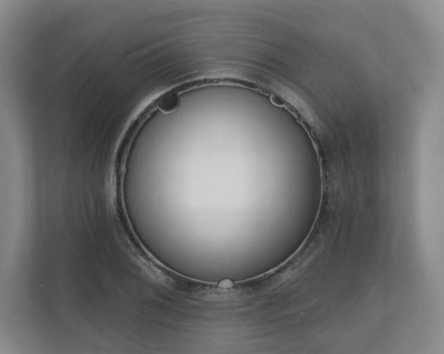 X0000110981076200906261424