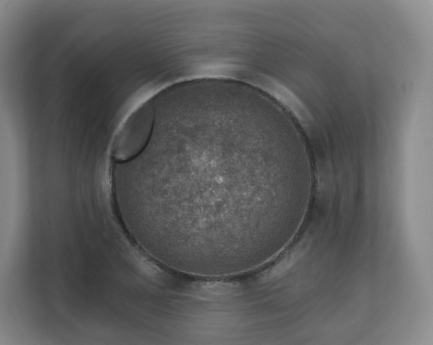 X0000110981077200906261424