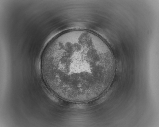 X0000110981078200906261424