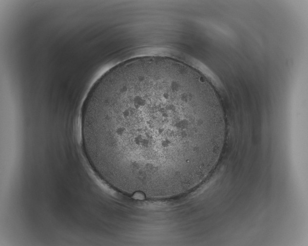 X0000110981079200906261424