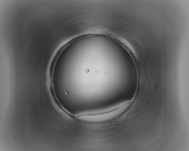 X0000110981080200906261424