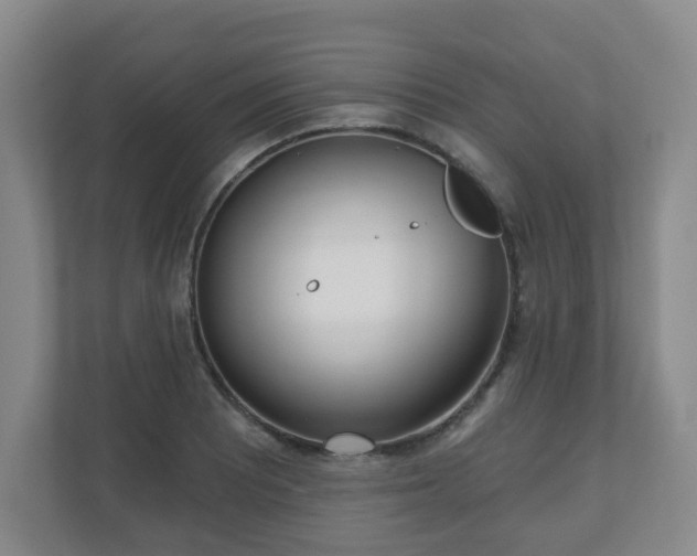 X0000110981081200906261424