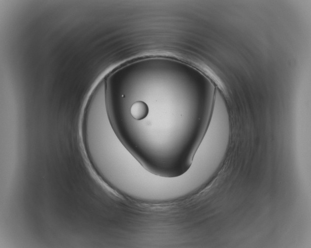 X0000110981084200906261424