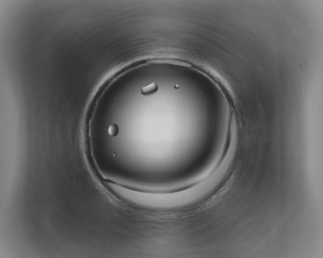 X0000110981085200906261424