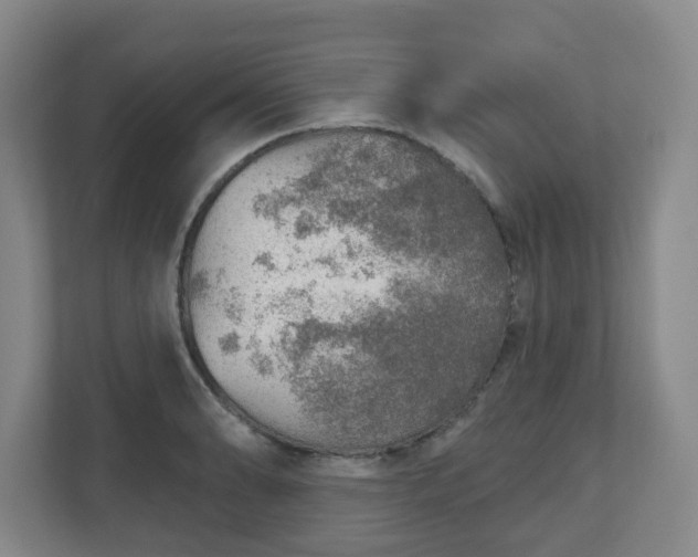 X0000110981086200906261424