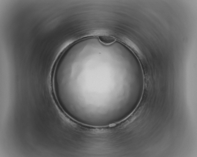 X0000110981087200906261424