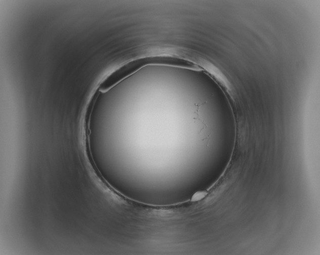 X0000110981088200906261424