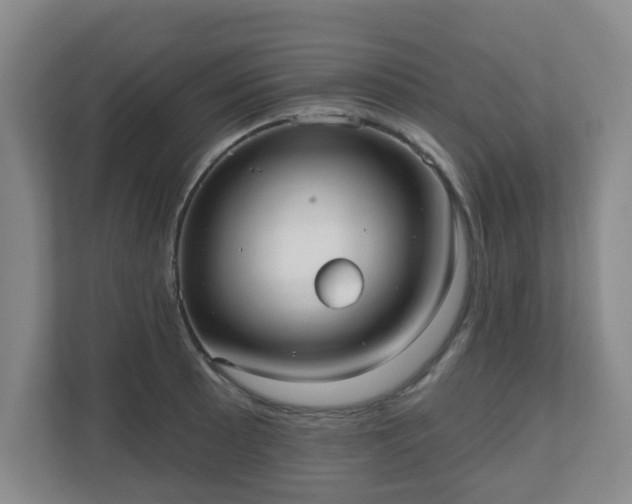 X0000110981089200906261424