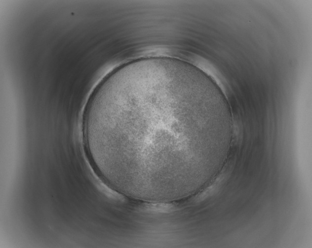 X0000110981090200906261424