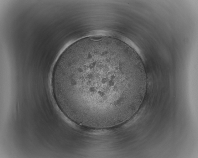 X0000110981091200906261424