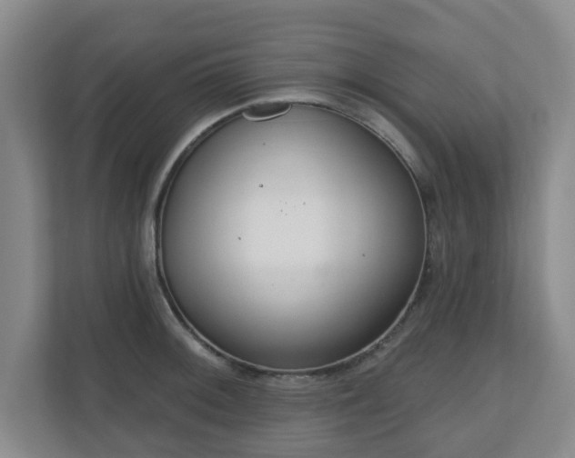 X0000110981092200906261424