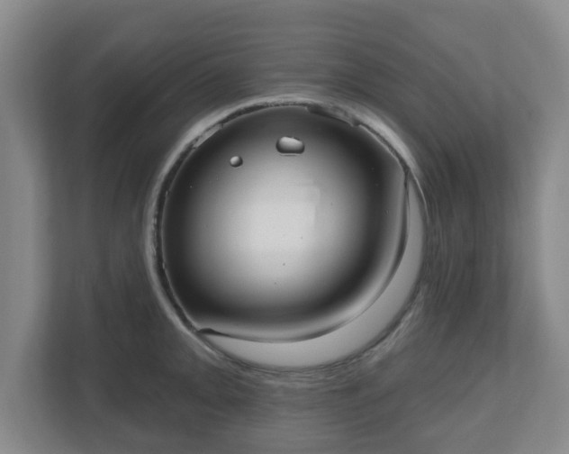 X0000110981093200906261424