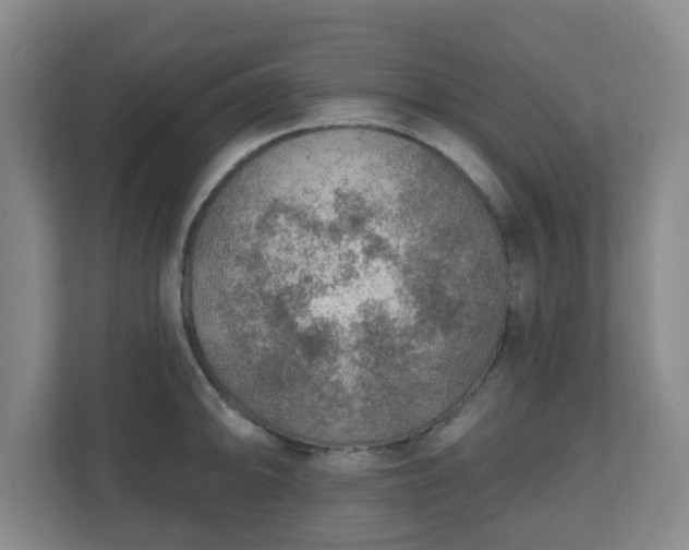 X0000110981094200906261424