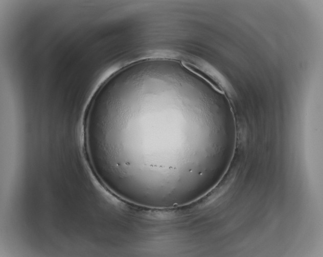 X0000110981095200906261424