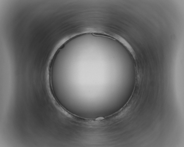 X0000110981096200906261424