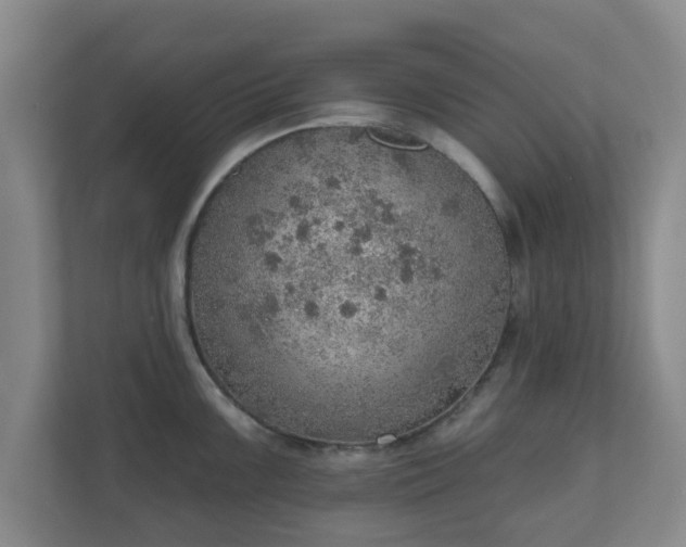 X0000110981099200906261424