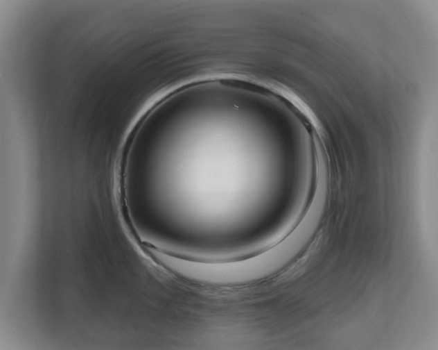 X0000110981101200906261424