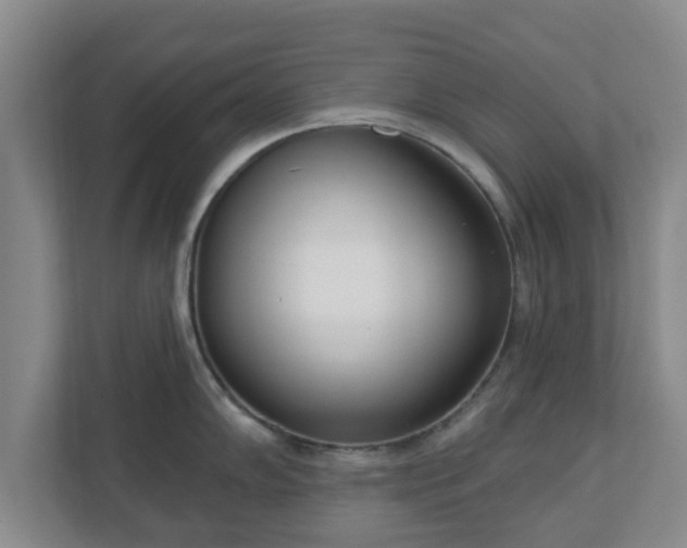 X0000110981102200906261424