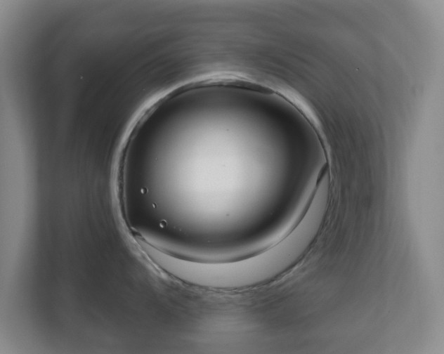 X0000110981104200906261424