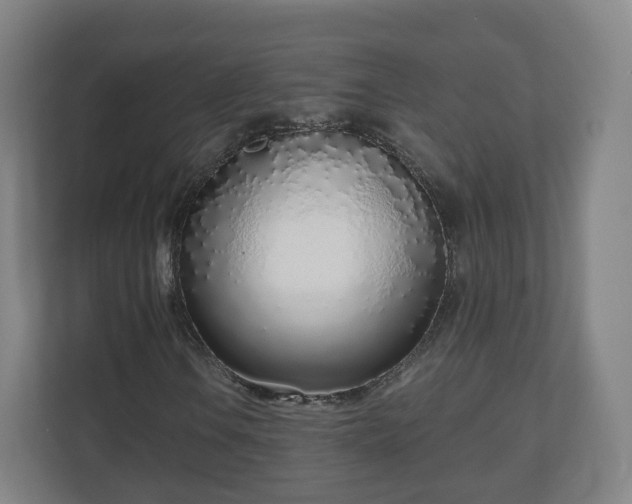 X0000110981106200906261423