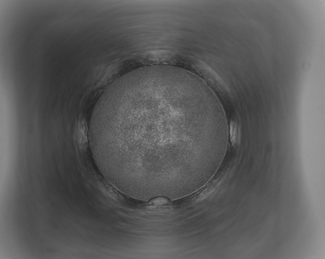 X0000110981107200906261423