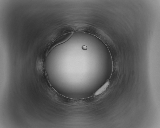 X0000110981108200906261423