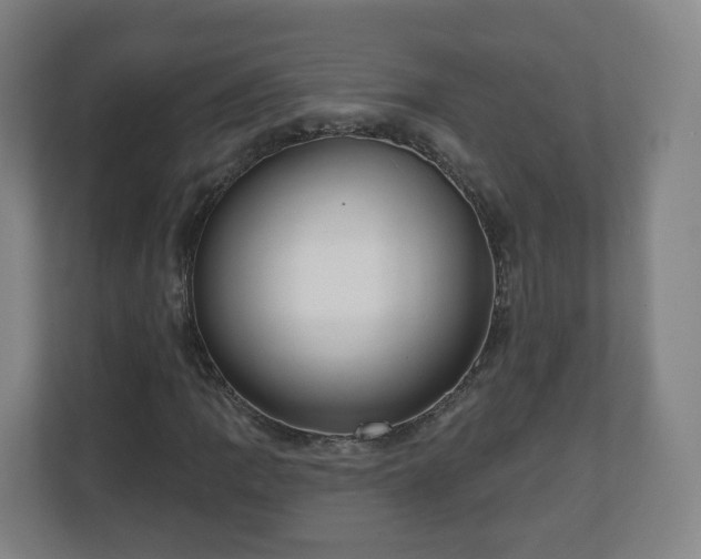 X0000110981109200906261423