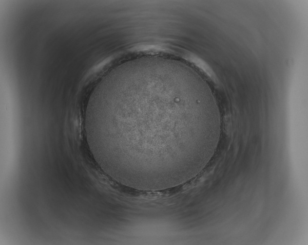 X0000110981111200906261423