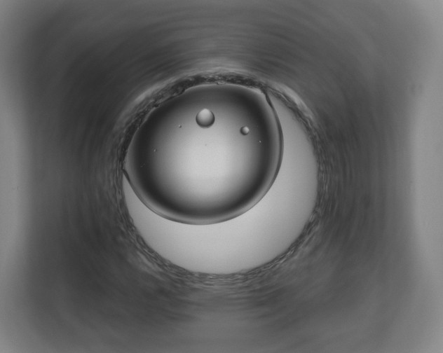 X0000110981112200906261423