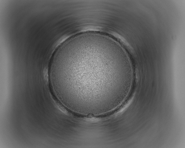 X0000110981113200906261423