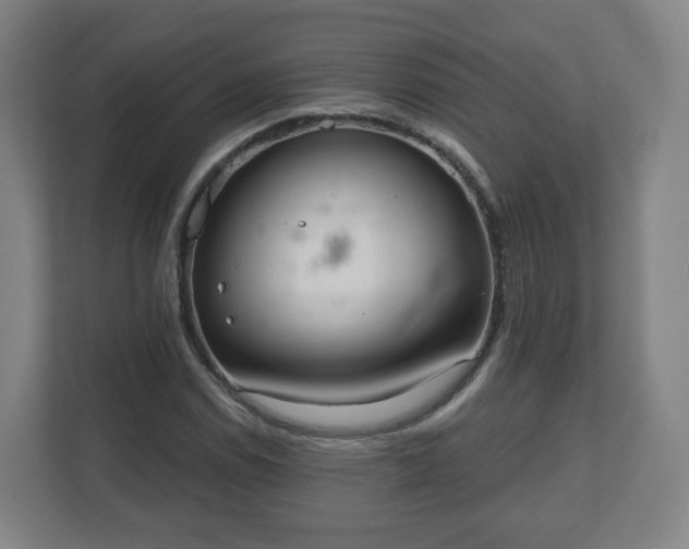 X0000110981114200906261423