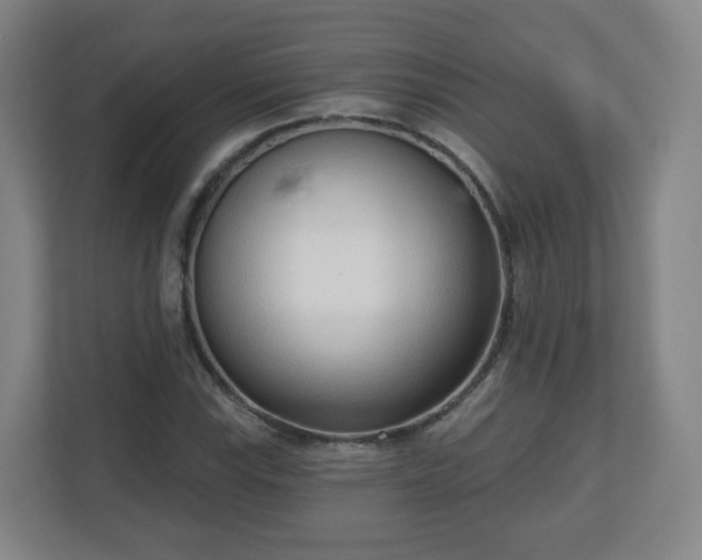 X0000110981115200906261424