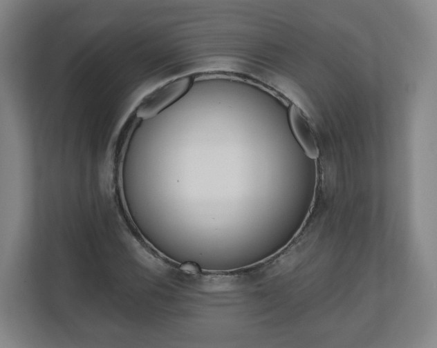 X0000110981116200906261424