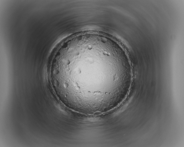 X0000110981117200906261424