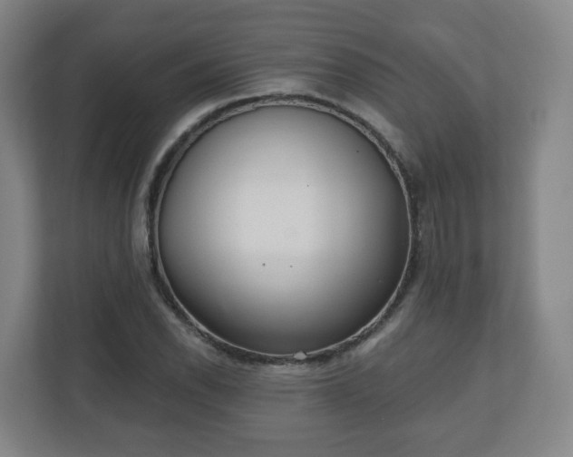 X0000110981118200906261424