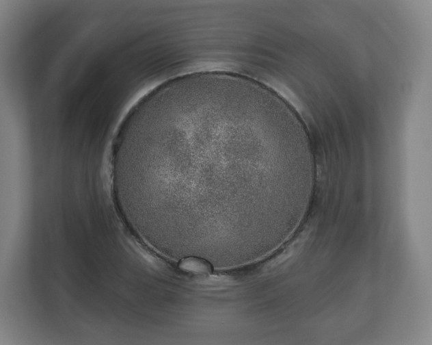 X0000110981119200906261424