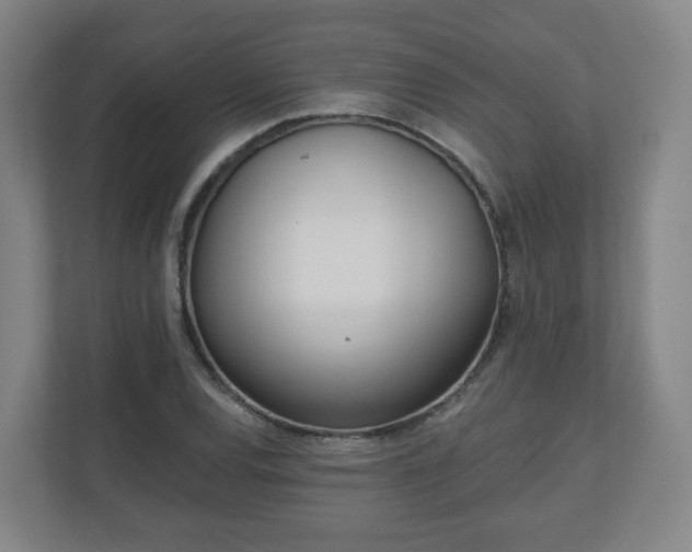 X0000110981120200906261424