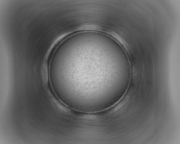 X0000110981123200906261424