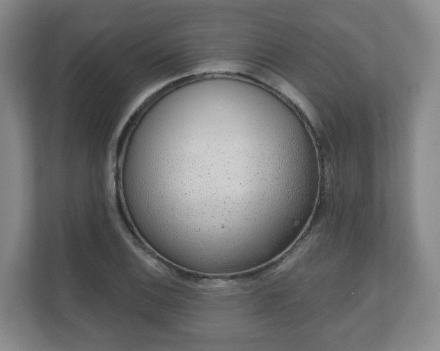 X0000110981124200906261424