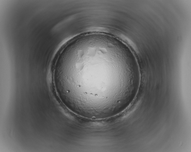 X0000110981125200906261424