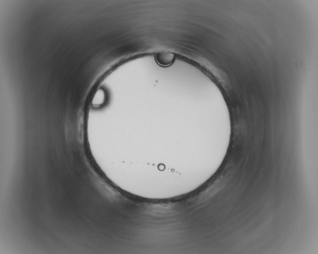 X0000110981126200906261424