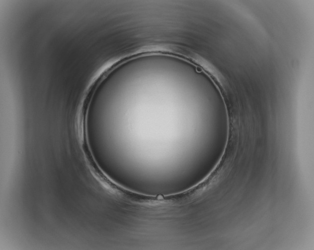 X0000110981127200906261424