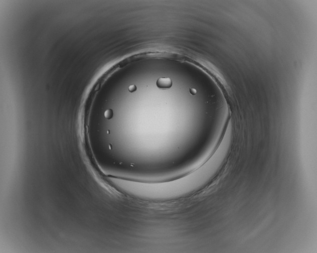 X0000110981128200906261424