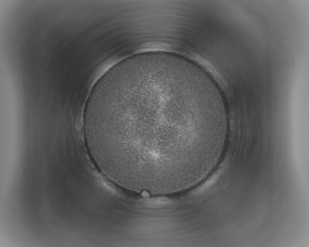 X0000110981129200906261424