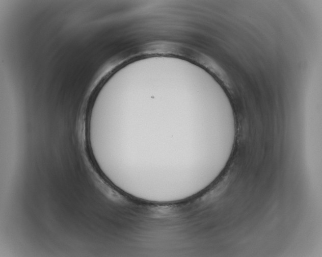 X0000110981130200906261424